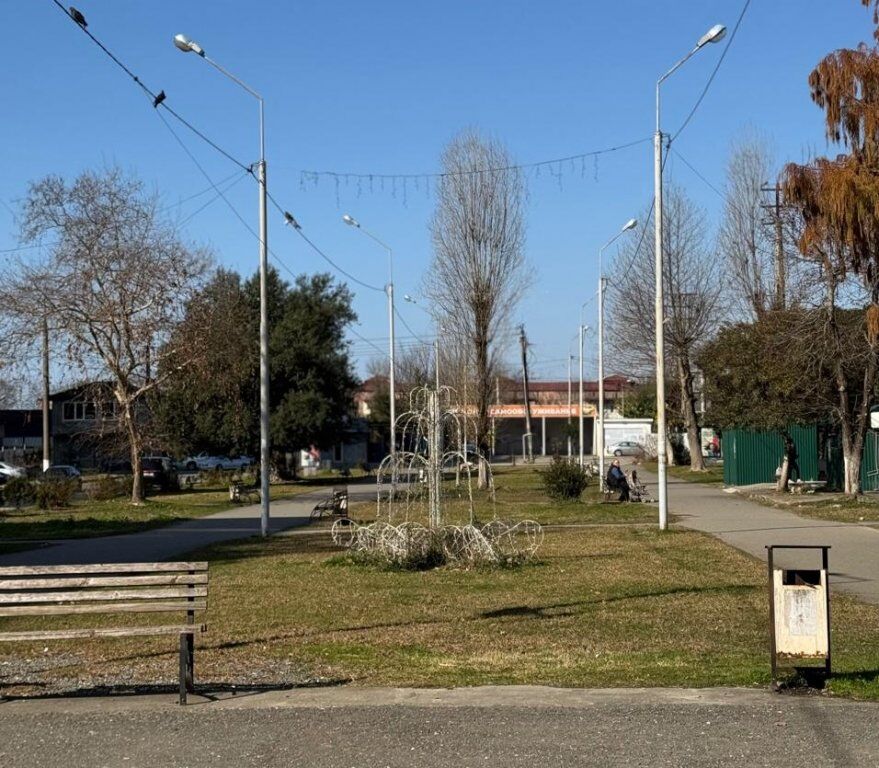 Нижегородцы помогут благоустроить центральный парк в Сухуме - фото 1