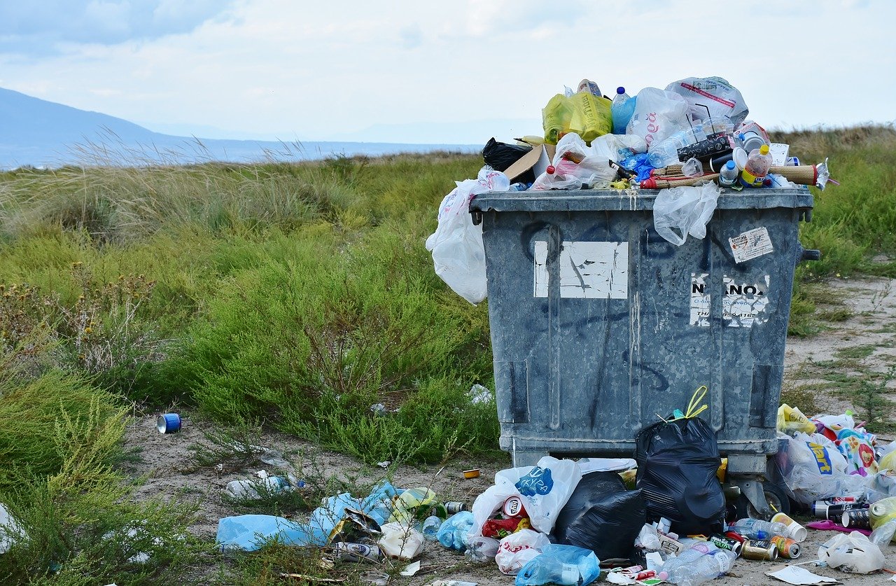 За месяц в Воронежской области убрали мусор на 13 тысячах гектаров - фото 1