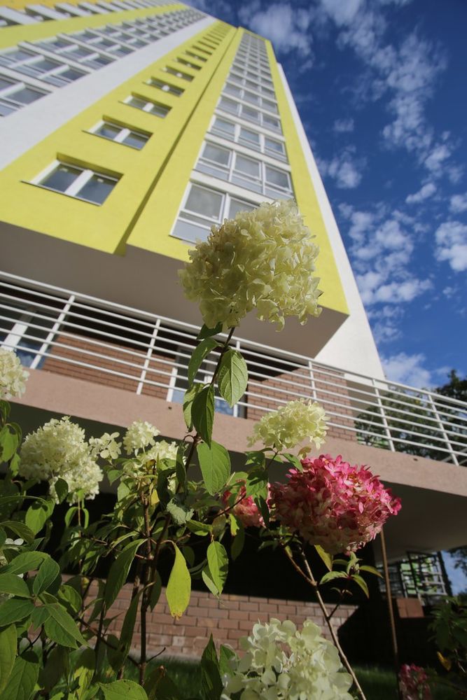 Жители ЖК «Маленькая страна» оценили расположение, инфраструктуру и дворы своих домов - фото 1