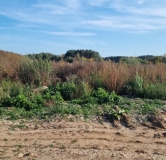 Ход строительства дома 8.3 в ЖК Форест -