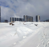 Ход строительства дома 14, секция 6 в ЖК Квартал на Игарской -