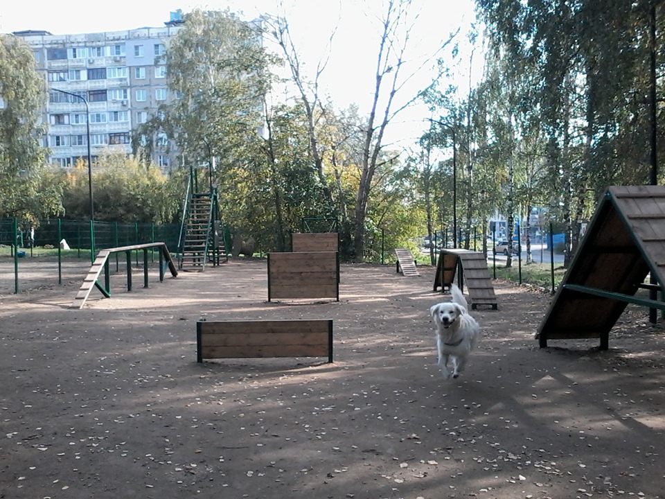 Скамейки появились на площадке для выгула собак в нижегородском парке им.А.С.Пушкина