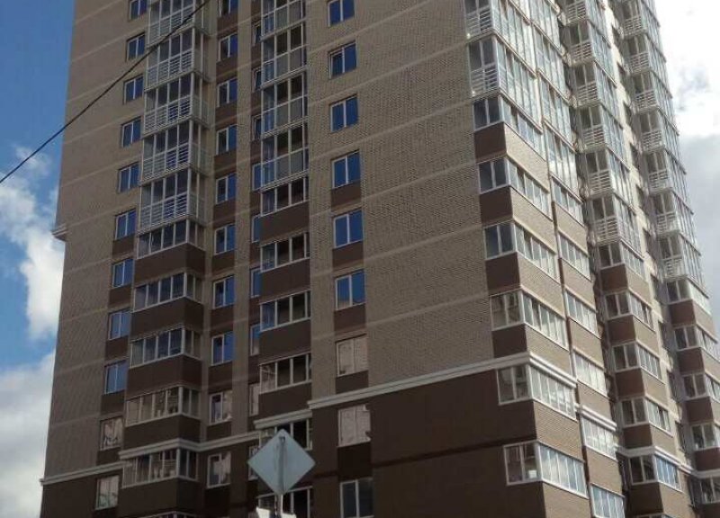 Дом 101 в ЖК Триумф - фото 1