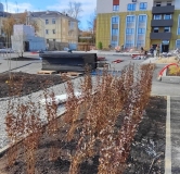 Ход строительства дома 55 в ЖК Мирлеон -