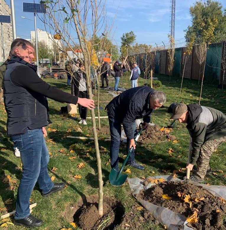 В Ростове застройщика обязали высадить 350 деревьев рядом с «Западной резиденцией» - фото 1