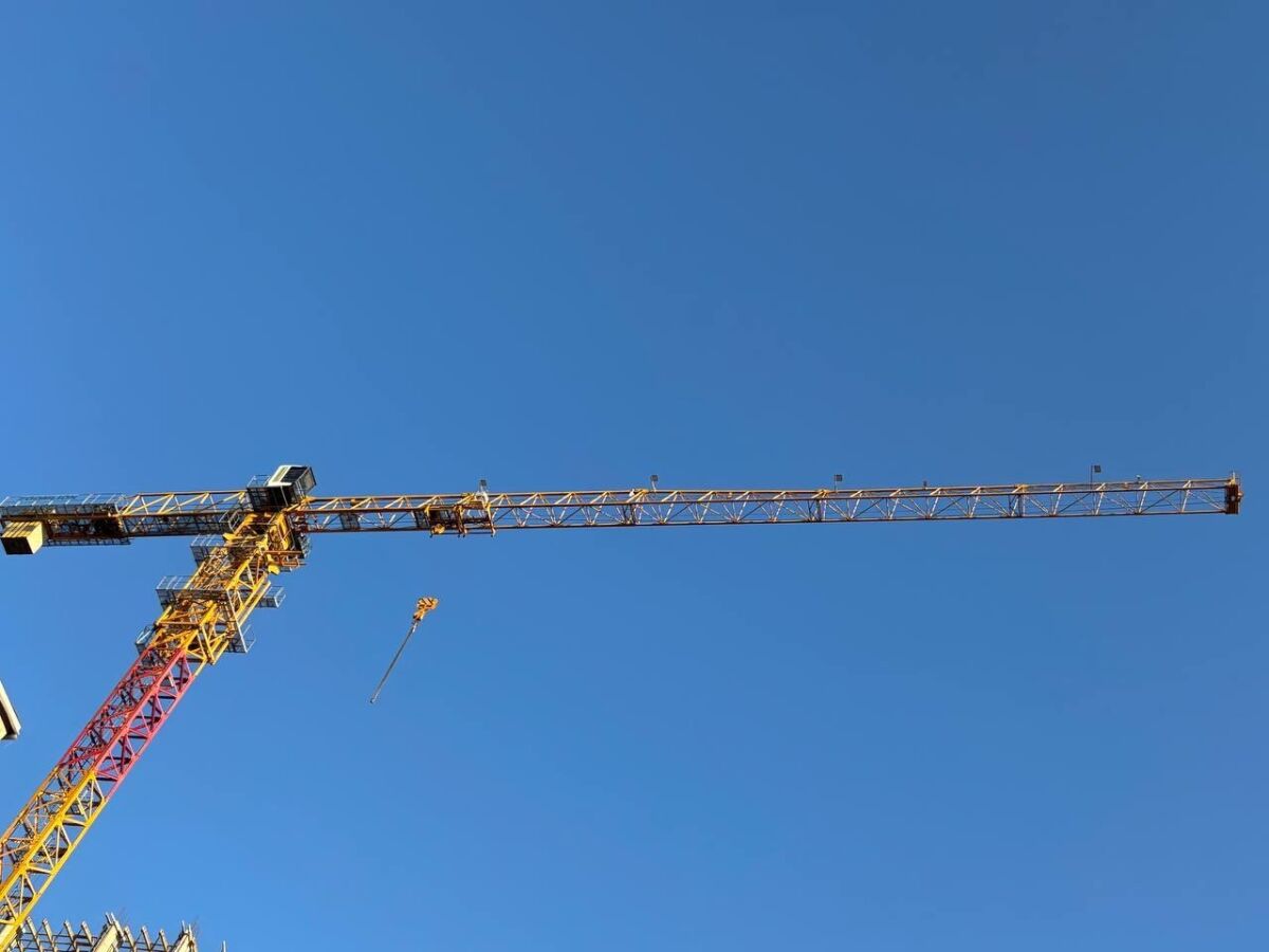 Инвестора для стройки питомника роз за 1,5 млрд ищут в Нижегородской области - фото 1