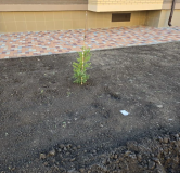 Ход строительства дома №4 в ЖК Фруктовый сад -