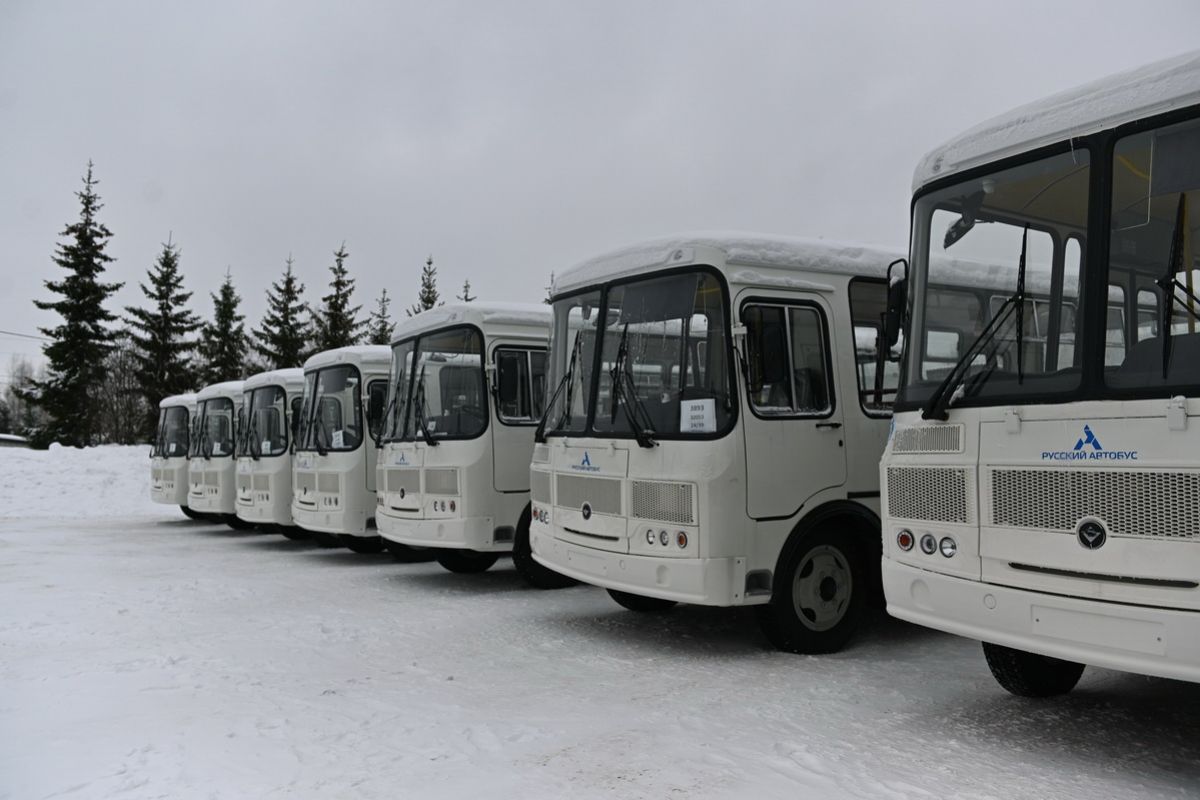 Более 150 новых автобусов вышли на маршруты в Нижегородской области - фото 1