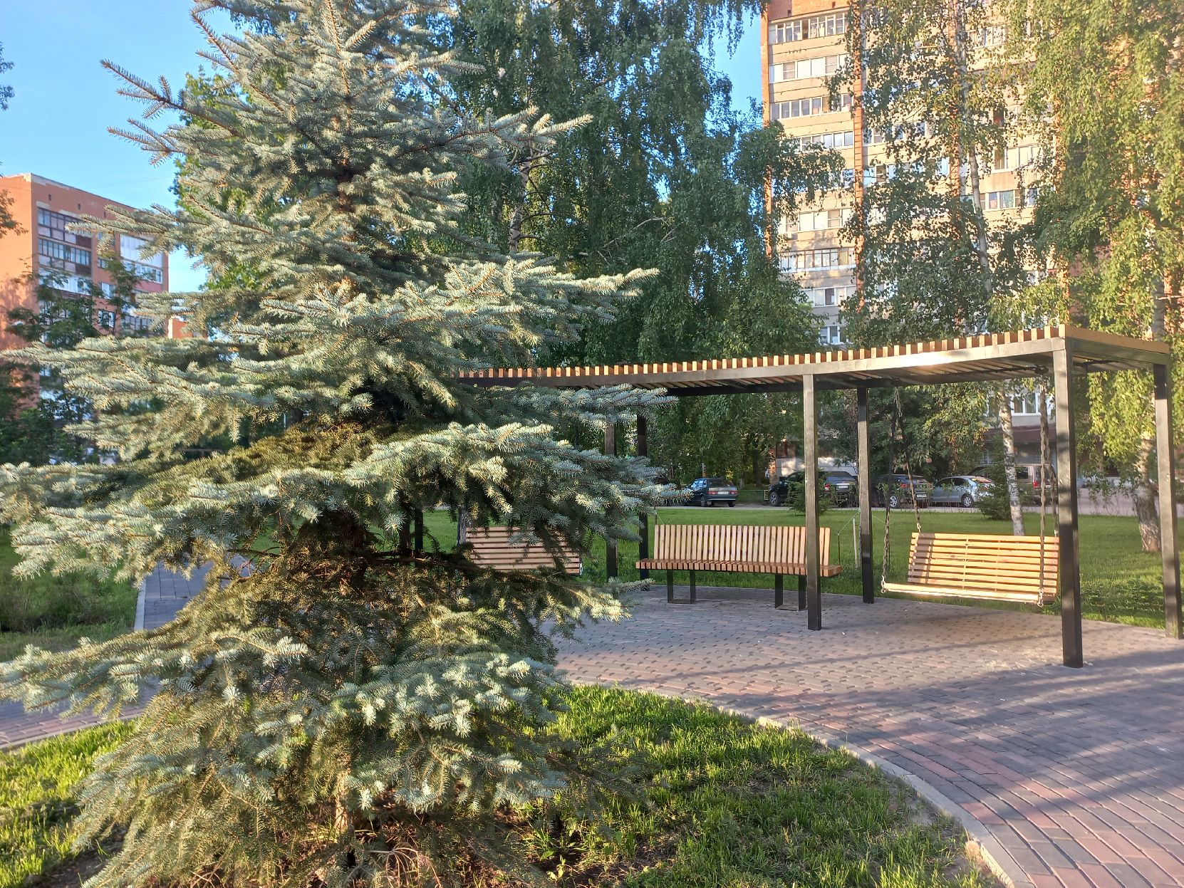 Сиреневый сад разобьют в сквере у ТЦ «Москва» в Нижнем Новгороде - фото 1