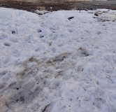 Ход строительства дома 204 в ЖК Ботаника Грин Хаус -