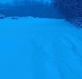 Ход строительства дома 204 в ЖК Ботаника Грин Хаус -